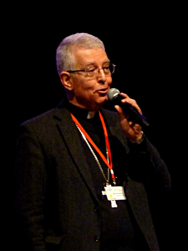 Mgr Guy de Kerimel (2015) (4)