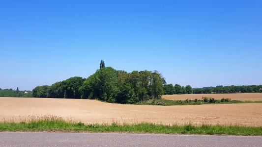 Mheer-bosage ten oosten Hoeve Libeek (1)
