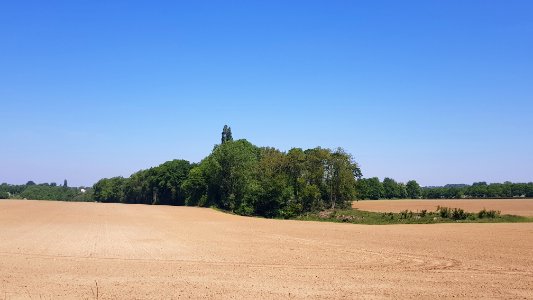 Mheer-bosage ten oosten Hoeve Libeek (2)