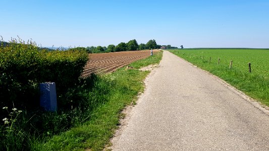 Mheer-Voerenstraat grenspaal Eijsden-Margraten (1)