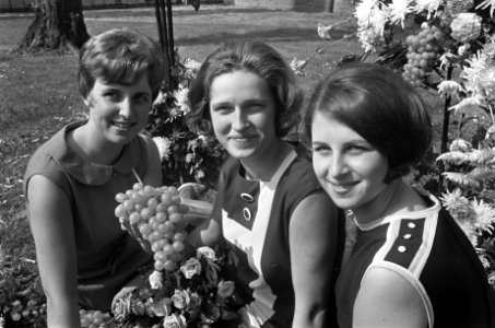 Midden Druivenprinses 1967 Corrie de Koning, links de Bloemenfee Toos Zwinkels, Bestanddeelnr 920-4468