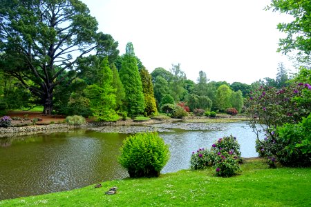 Middle Lake - Sheffield Park and Garden - East Sussex, England - DSC05570