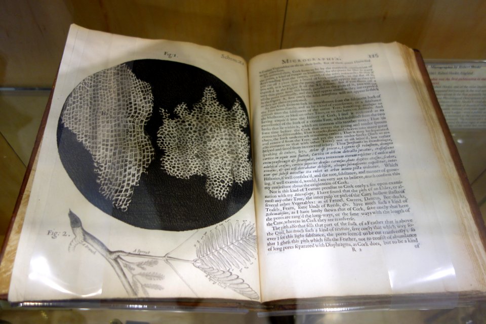 Micrographia by Robert Hooke, 1665, England - Golub Collection of Antique Microscopes - DSC04817