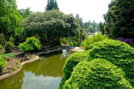 Middle Lake - Sheffield Park and Garden - East Sussex, England - DSC05471