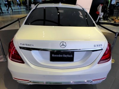 Mercedes-Maybach S 550 (X222) rear