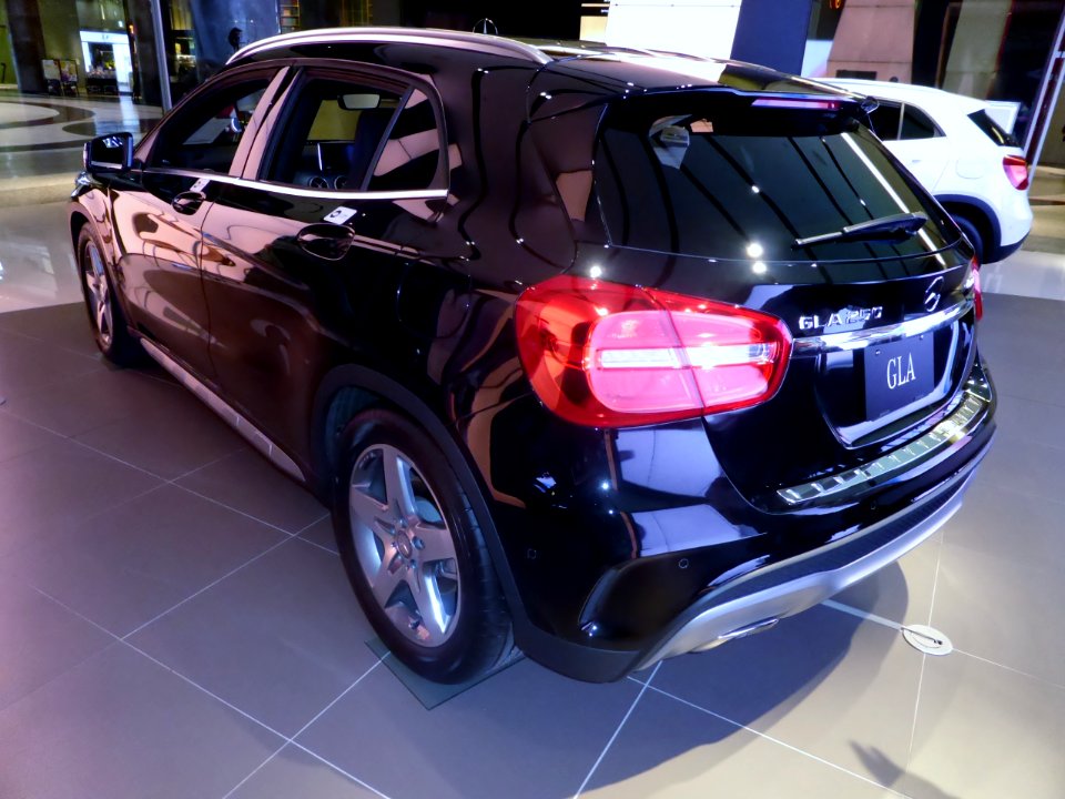 Mercedes-Benz GLA250 4MATIC Sports (X156) rear