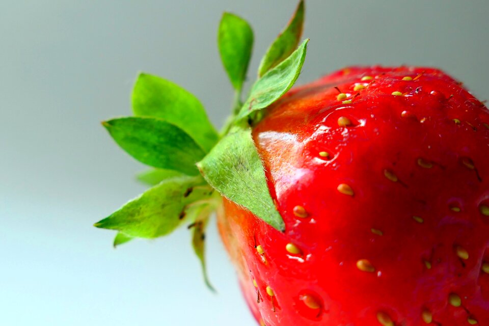 Sweet delicious eat