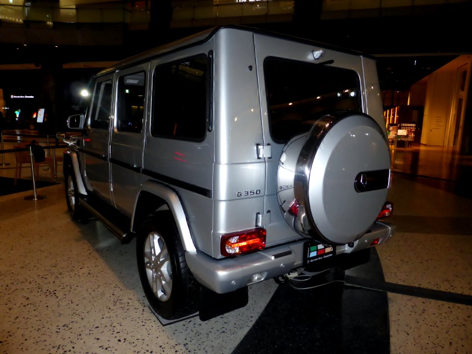 Mercedes-Benz G350 BlueTEC (W463) rear