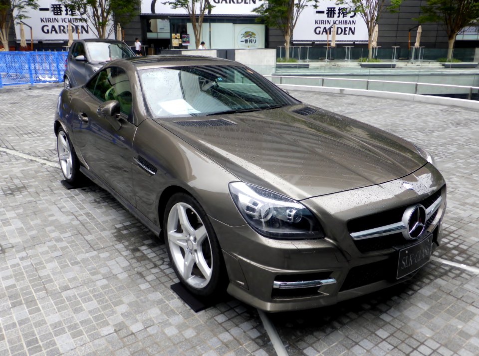 Mercedes-Benz SLK200 BlueEFFICIENCY MT (R172) , whose hood is closed. front
