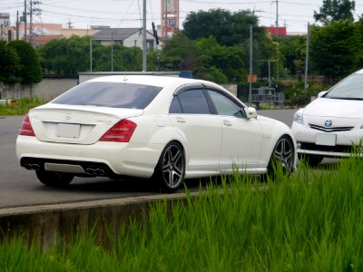 Mercedes-Benz S65 AMG long (V221) rear