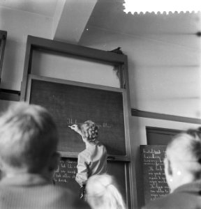 Merel nestelt in schoolklas van de Dr. de Moorschool in Den Haag, Bestanddeelnr 910-3119