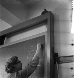 Merel nestelt in schoolklas van de Dr. de Moorschool in Den Haag, Bestanddeelnr 910-3120