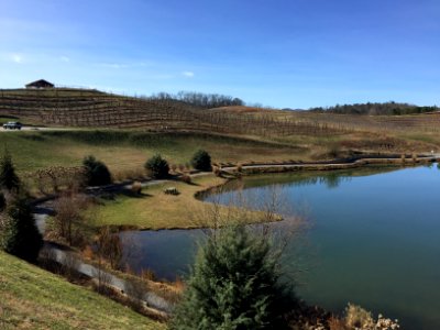 Mercier Orchards, Fannin County, GA, Feb 2017