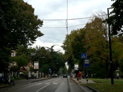 Mestre (VE) 24