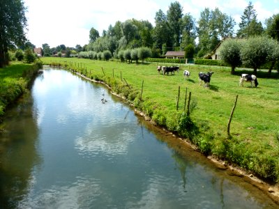 Merck-Saint-Liévin (Pas-de-Calais, Fr) rivière Aa (02)