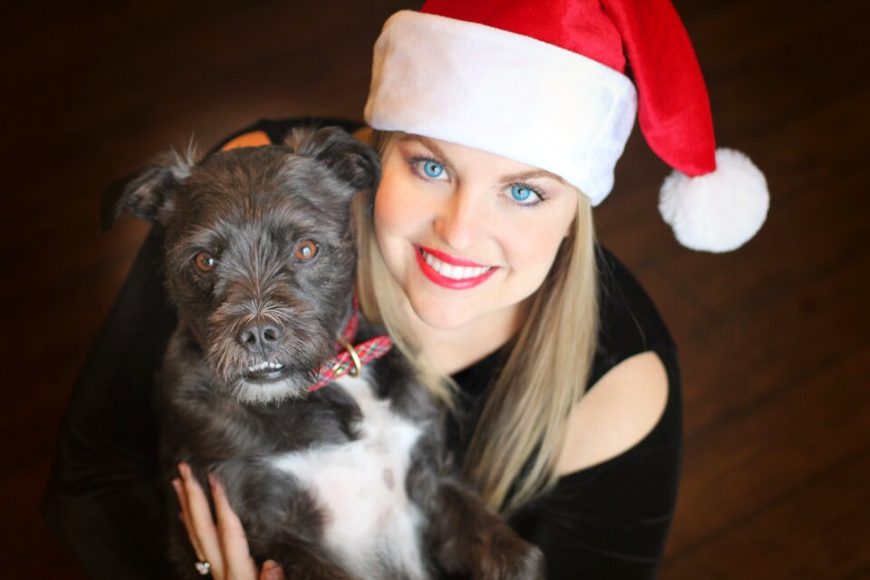 Christmas dog santa hat hat