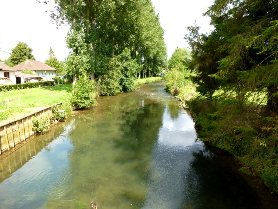 Merck-Saint-Liévin (Pas-de-Calais, Fr) rivière Aa (01)