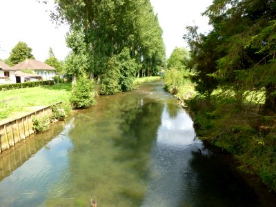 Merck-Saint-Liévin (Pas-de-Calais, Fr) rivière Aa (01)