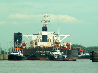Mercurian Virgo IMO 8907905 at the Berendrecht locks, Antwerp, Belgium 20-May-2005