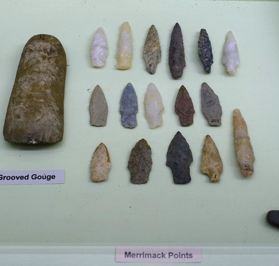 Merrimack points and grooved gouge - Middle Archaic collection - Robbins Museum - Middleborough, Massachusetts - DSC03796