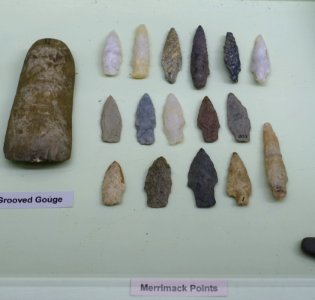 Merrimack points and grooved gouge - Middle Archaic collection - Robbins Museum - Middleborough, Massachusetts - DSC03796