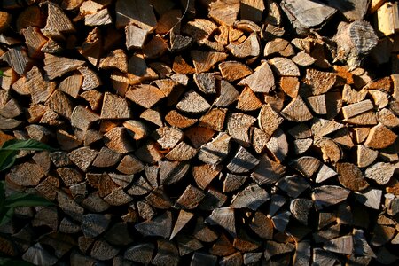 Carved wood chopped wood driftwood
