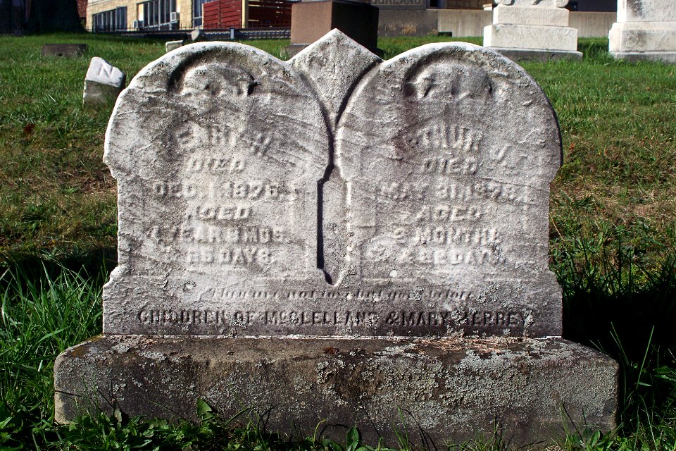 Merrey (Henry H. and Arthur J.), St. Clair Cemetery, 2015-10-06, 01