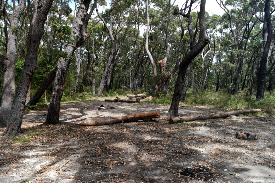 Meroo Head, Meroo National Park, New South Wales, Australia 06