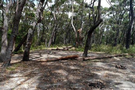 Meroo Head, Meroo National Park, New South Wales, Australia 06