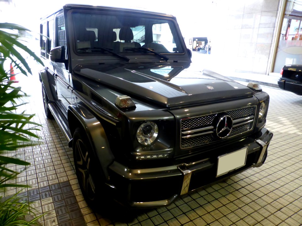 Mercedes-Benz G65 AMG (W463) front