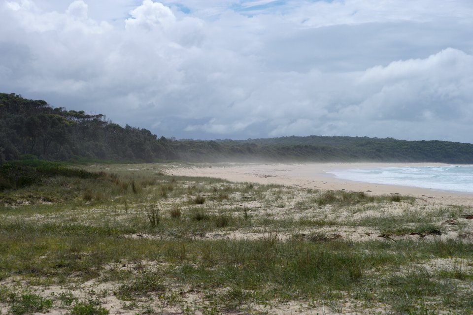 Meroo Head, Meroo National Park, New South Wales, Australia 04