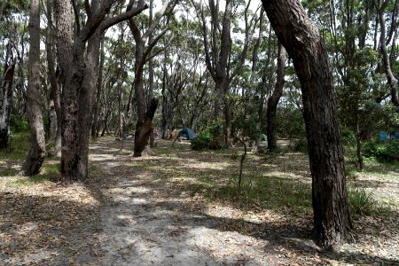 Meroo Head, Meroo National Park, New South Wales, Australia 05