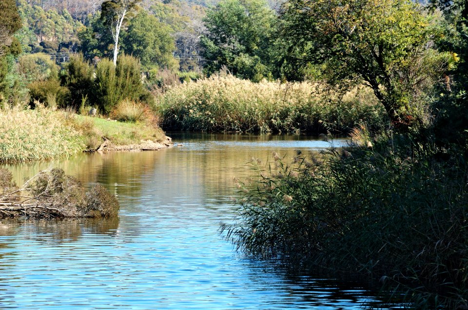 Mersey-River-Latrobe-20070326-005
