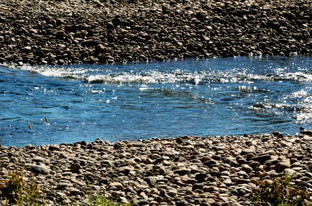 Mersey-River-Latrobe-20070326-009