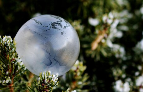 Ball frozen bubble winter photo