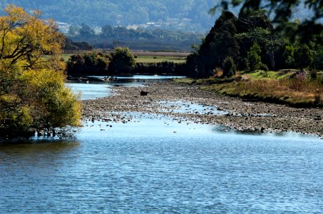 Mersey-River-Latrobe-20070326-010