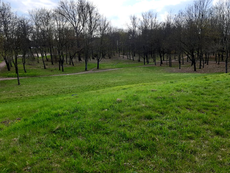 Merseburg Thomas-Müntzer-Park2