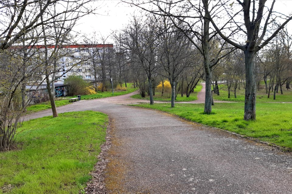 Merseburg Thomas-Müntzer-Park4