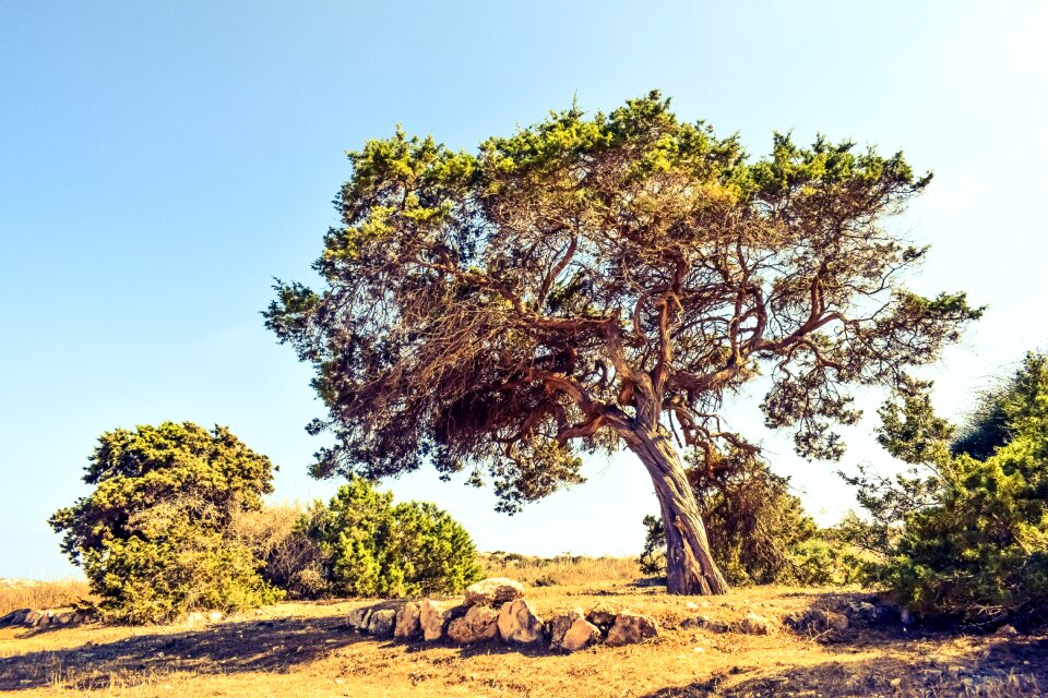 Landscape nature nature landscape