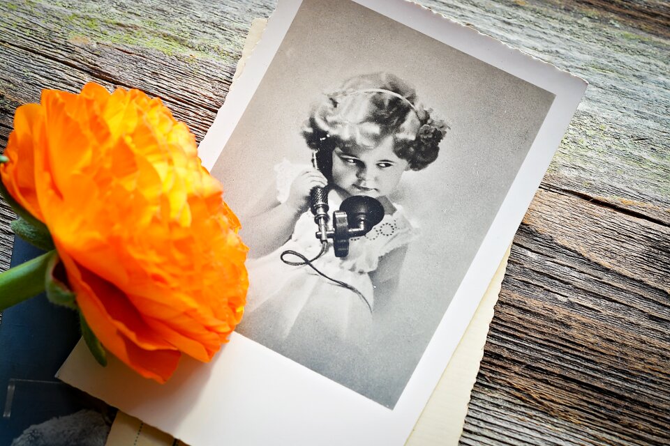 Bloom orange postcard