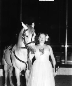 Mevrouw Mikkenie met 1 paard, Bestanddeelnr 903-0344