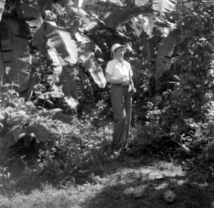 Mevrouw Joy Boogh in de voormalige Jodensavanna aan de Surinamerivier, Bestanddeelnr 252-6929