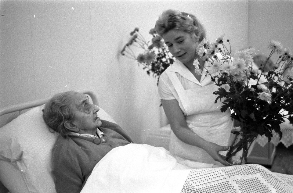 Mevrouw C. W. Meisner, Bestanddeelnr 913-2428