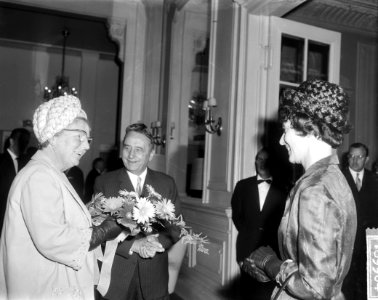 Mevrouw Th. Veering-Feigl geeft koningin Juliana bloemen, Bestanddeelnr 916-9904