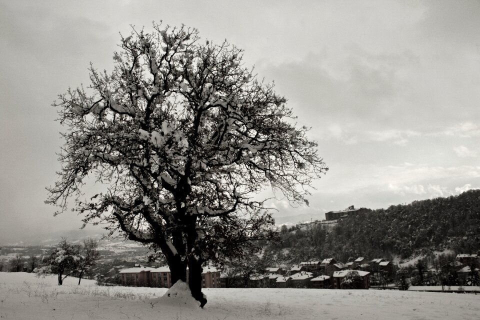 Nature çaycuma snow landscape
