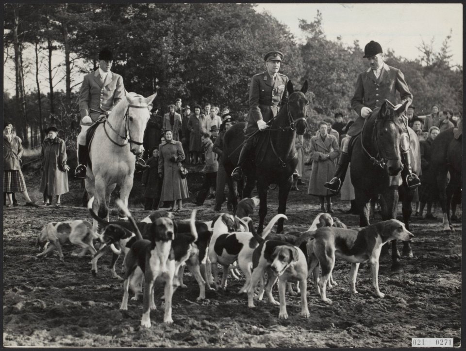 Meute honden van prins Bernhard, Bestanddeelnr 021-0271