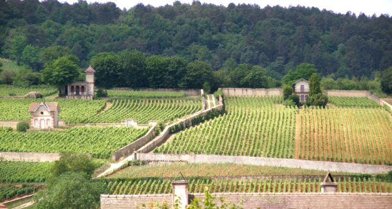 Meursault Vignobles