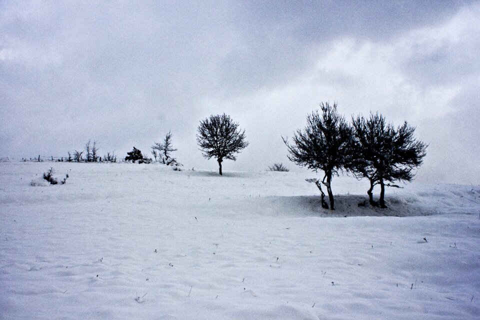 Snow landscape landscape çaycuma photo