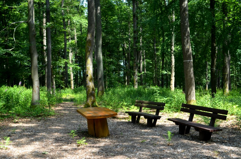 Merzhausen, Naturfriedhof Usingen