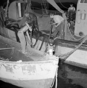 Met sardines gevulde visnetten worden binnen boord gehaald, Bestanddeelnr 255-2882